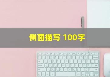 侧面描写 100字